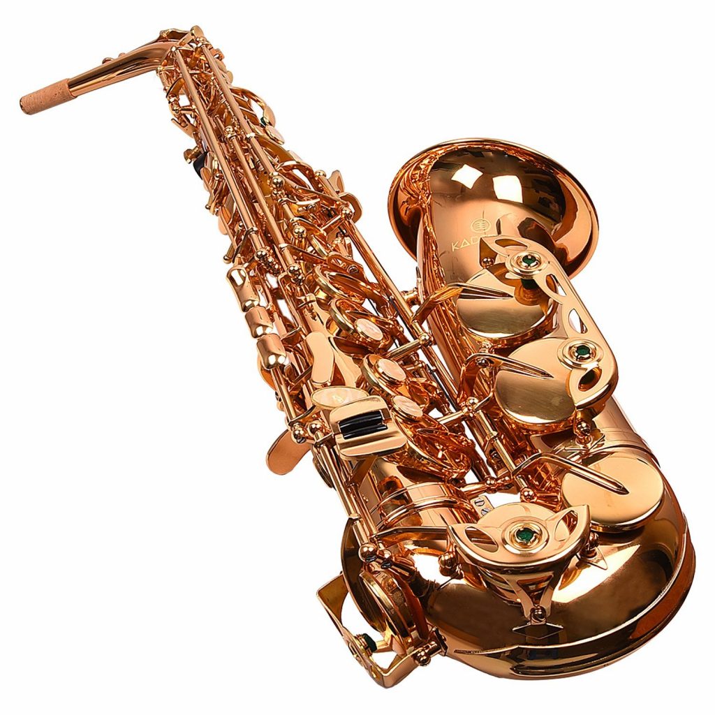 Buy Kadence KXG Alto Saxophone , Best Online Price In India Euphonycart